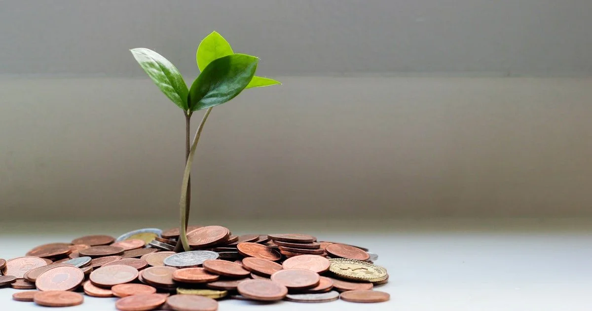 Groeiende plant op gestapelde munten als symbool voor rendement op investering